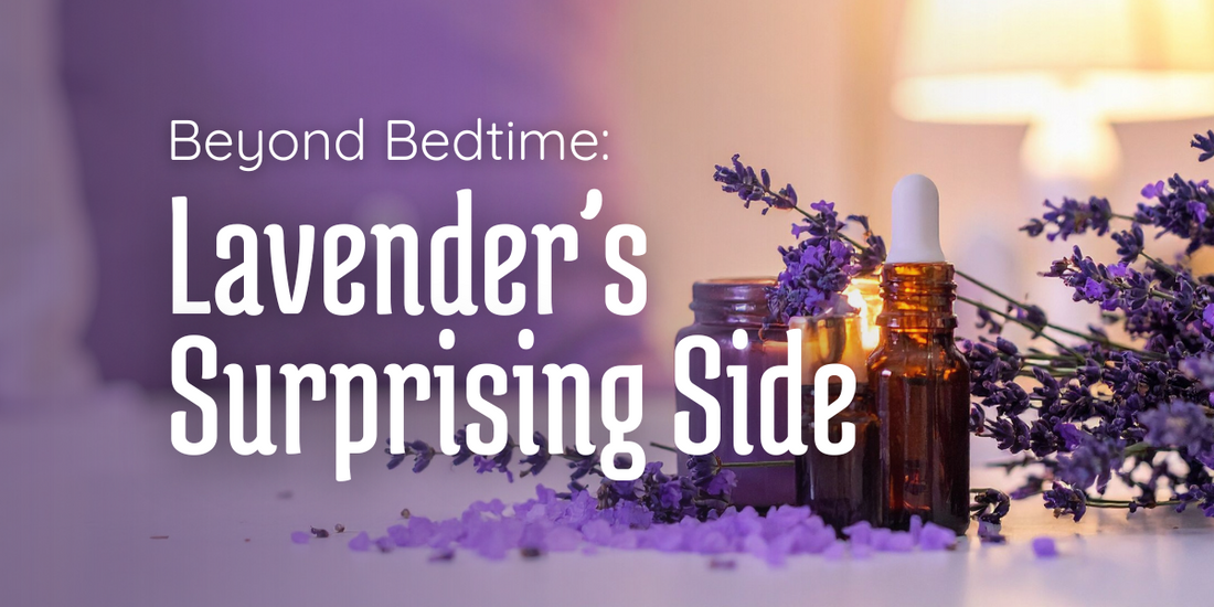 Lavender essential oil bottles with flowers and text Beyond Bedtime: Lavender’s Surprising Side by Ella & Iris Home.