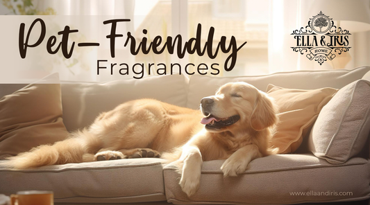 Safe Environments for Your Furry Friends with Ella & Iris Home