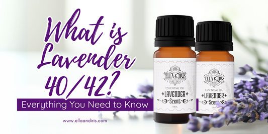 What is Lavender 40/42? Everything You Need to Know