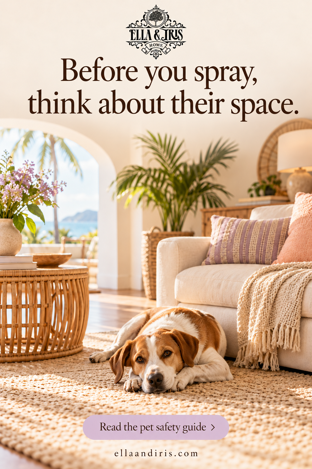 Room Sprays and Pets: A Practical Guide to Reducing Exposure — Ella & Iris Home lifestyle safety guide