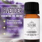 Lavender 40/42 Essential Oil – Calming, Standardized Blend, Ideal for Diffusers, Skin, & DIY | Ella & Iris Home